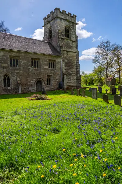 Bluebell Hout Begraafplaats Slecht Clinton Landgoed Warwickshire Engeland Rechtenvrije Stockfoto's