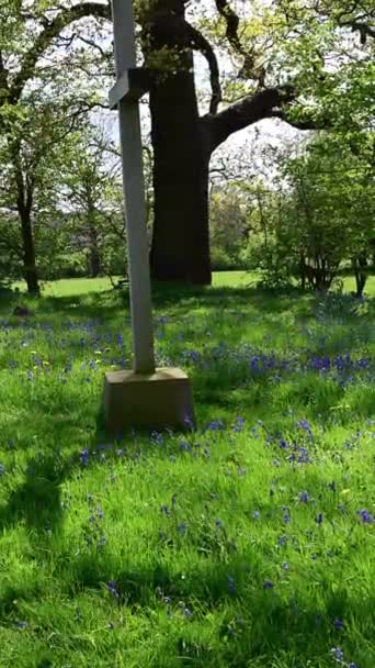 Függőleges Videó Függőleges Felvétel Egy Gyönyörű Tavaszi Virágmezőről Zöld Fákkal Jogdíjmentes Stock Videó