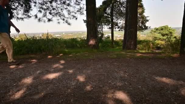 Pár Kráčejících Lesní Cestě Lickey Hills Country Park West Midlands Royalty Free Stock Záběr