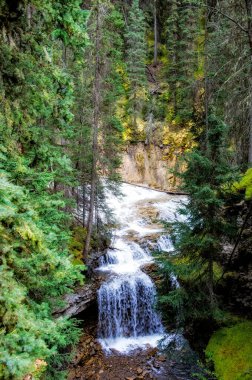 Kanada Alberta Rocky Dağları 'ndaki şelaleler ve yürüyüş yolları.