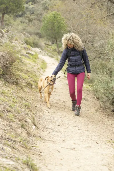 Кудрявые Светлые Волосы Женщина Альпинистка Собака Прогуливаются Горам — стоковое фото
