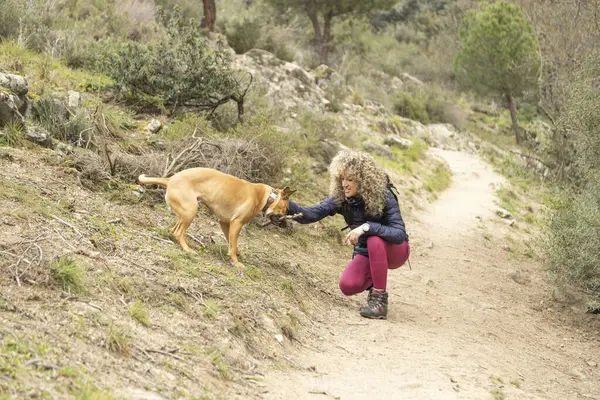 Cabello Rizado Rubio Mujer Montañera Perro Paseando Por Las Montañas Imagen de stock