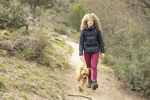 Kıvırcık Sarı Saçlar Dağcı Kadın Köpeği Dağlarda Yürüyor Stok Fotoğraf