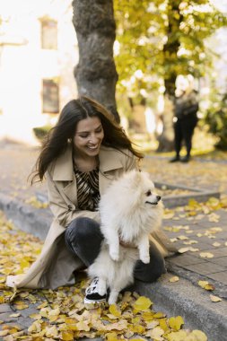 Gülümseyen, pozitif kız kollarında beyaz bir köpek tutuyor, oturuyor, yerde sarı yapraklar var. Genç bir kadın ve evcil hayvanıyla sokakta yürüyor..