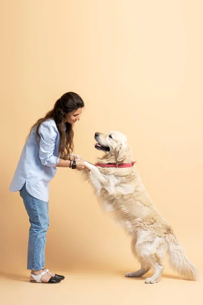 Mulher Latina Bonita Bonita Segurando Seu Cão Estimação Isolado Fundo — Fotografia de Stock