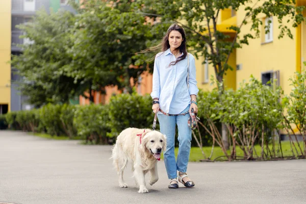 Mulher Latina Bonita Jovem Andando Sobre Trela Com Labrador Dourado — Fotografia de Stock