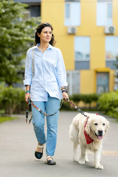 かわいい かわいい女性がよく手入れの行き届いた犬をリードカジュアルな服を着て ゴールデンレトリバー 路上で屋外 ペットと美しいラテン語の女性の歩行 動物のケアの概念 ストック写真