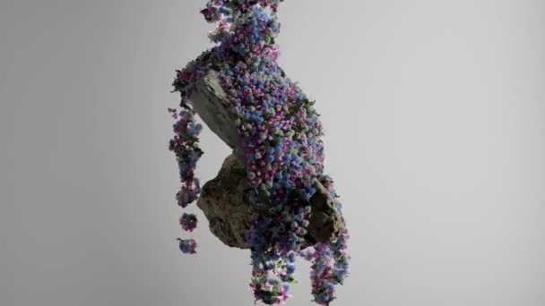 生长在岩石上的植物的3D动画 — 图库视频影像