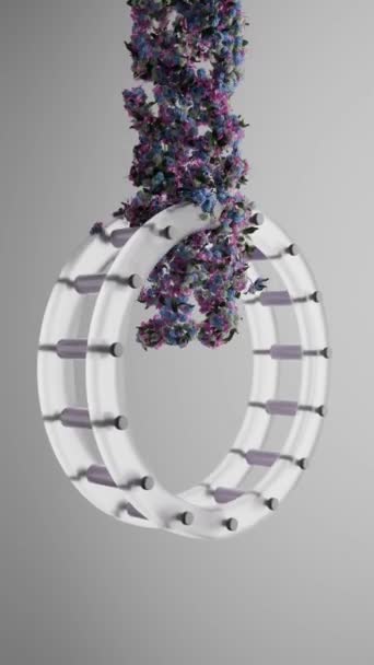 植物落在轮子上的3D动画 — 图库视频影像