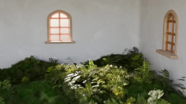 Animation Einer Sich Auf Einem Raum Verändernden Pflanze — Stockvideo