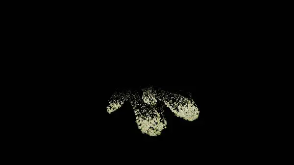 기도의 모양의 식물의 애니메이션 스톡 사진
