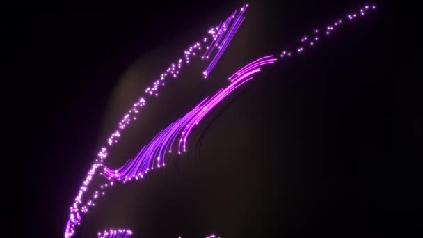 3D抽象霓虹灯背景 发光线粉色蓝色移动 — 图库视频影像
