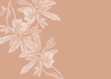 Hassas suluboya çiçek arkaplanı