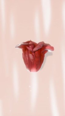 Yüzen Beyaz Çiçeğin 3 Boyutlu Canlandırması Minimal Bloom Concept gibi kumaşla