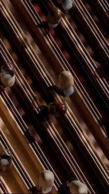 Kaydırma Kapsülleri Döngüsü 3 boyutlu tatmin edici canlandırma