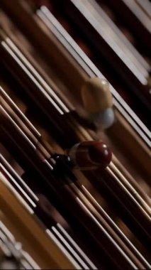 Kaydırma Kapsülleri Döngüsü 3 boyutlu tatmin edici canlandırma