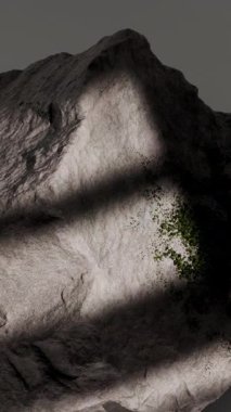 Kayalarda Yosun Büyümesi 3 Boyutlu Tatmin edici Animasyon