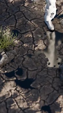 Astronot ayak izi 3 boyutlu animasyon