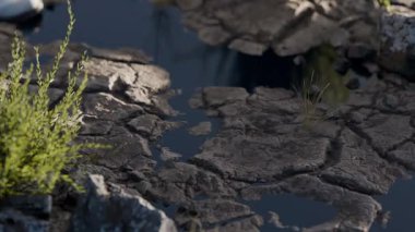 Astronot ayak izi 3 boyutlu animasyon