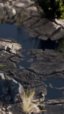 Astronot ayak izi 3 boyutlu animasyon