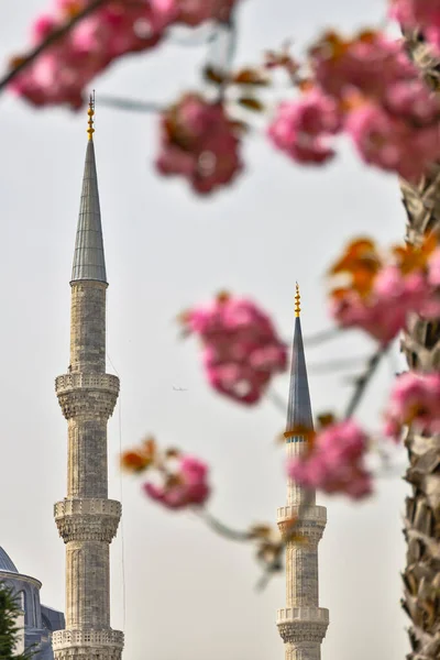 Minarety Slavné Modré Mešity Nebo Mešity Sultána Ahmeta Istanbulu Během — Stock fotografie