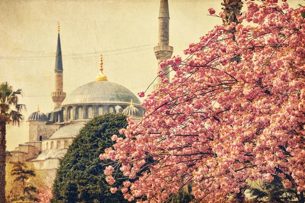Minarety Slavné Modré Mešity Nebo Mešity Sultána Ahmeta Istanbulu Během — Stock fotografie