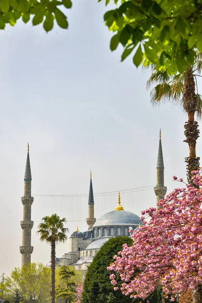 Минареты Знаменитой Голубой Мечети Мечети Султана Ахмета Стамбуле Время Сезона — стоковое фото