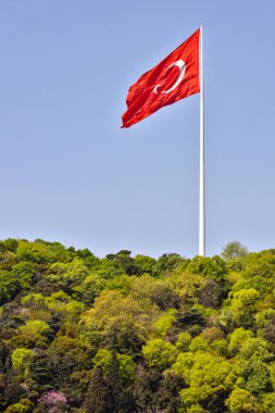 Tepenin üstünde dalgalanan etkileyici Türk bayrağı