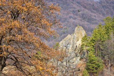 Dionisie Torcatorul keşiş mağarası, Nucu köyü, Bozioru, Buzau ilçesi, Romanya