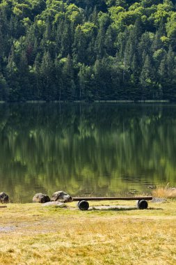 Romanya 'nın Harghita ilçesindeki Saint Ana volkanik gölü