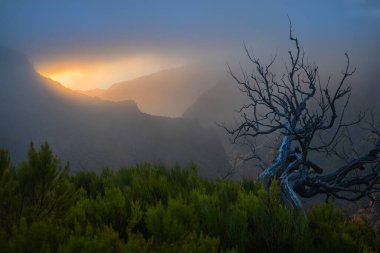 Madeira dağlarında gün doğumu