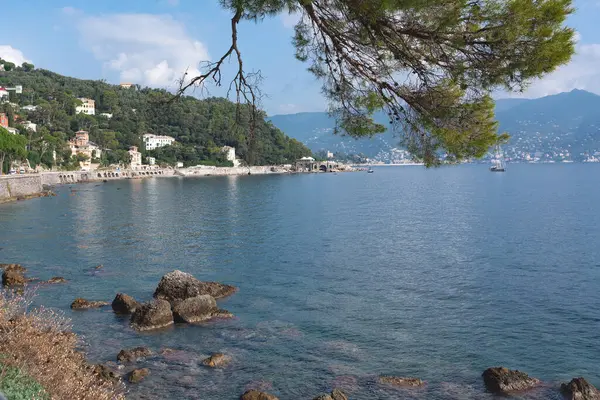 Kristal mavi su ve taşlarla deniz yüzeyi. Ligurian kıyıları, Portofino yakınlarında.
