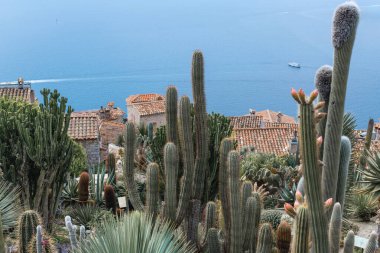 Franch riviera. Ortaçağ köyü Eze. Eze köyünün dağından denize kadar Panorama. Kaktüs Egzotik Bahçesi.