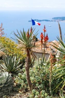 Cote d 'Azur' daki Eze 'nin resimli köyü. Fransa. Sanatçılar şehrinin dar sokakları.