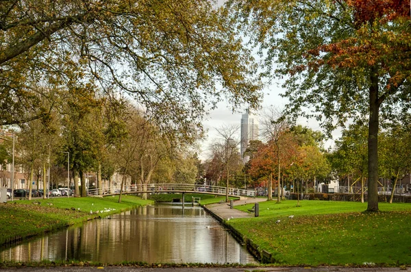 2022年11月5日 荷兰鹿特丹 沿着夏洛瓦利斯Lepelaarsingel运河与市中心高楼相望 — 图库照片