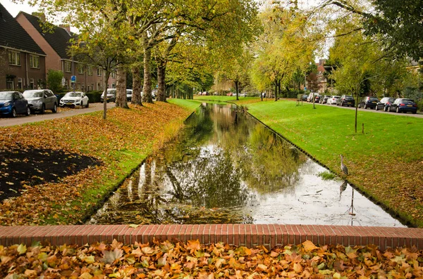 2022年11月5日 荷兰鹿特丹 在Vreewijk街区的一座横跨Lede运河的砖桥上落叶 — 图库照片