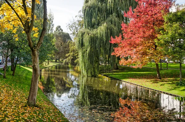 Rotterdam Holandia Października 2022 Kolorowe Drzewa Jesienią Odzwierciedlające Kanał Provenierssingel — Zdjęcie stockowe
