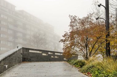 Rotterdam, Hollanda, 29 Kasım 2022: Sonbaharın sonlarında sisli bir günde Binnenrotte meydanındaki renkli çalılar boyunca patika