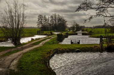 Polder landscape  in Krimpenerwaard region near Gouda, The Netherlands with a country road between ditches, meadows and trees