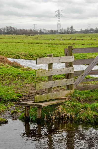 Dutch Polder Landscape Krimpenerwaard Region Gouda Netherlands Wooden Fence Little Immagini Stock Royalty Free
