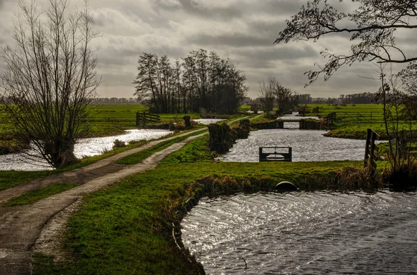 Polder Landscape Krimpenerwaard Region Gouda Netherlands Country Road Ditches Meadows Immagine Stock
