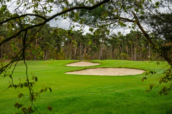 Rijen Niederlande April 2013 Golfplatz Mit Zwei Sandgruben Einem Grünen — Stockfoto