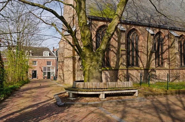Rotterdam Nederländerna April 2023 Träbänk Torget Bredvid Den Gotiska Kyrkan — Stockfoto