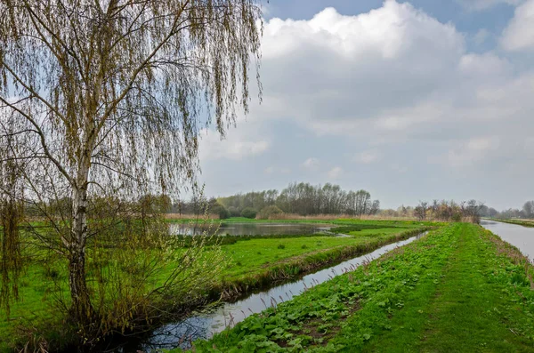 オランダのブルーヘレンに近い緑豊かな風景 運河と溝 牧草地 小さな湖の間の歩道があります — ストック写真