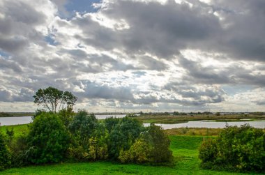 Hollanda 'nın Voorne Adası' ndaki Beninger Slikken sulak alanlarında çalılar, bataklıklar ve sığ göllerle kaplı bir manzara.