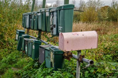 Den Bosch, Hollanda, 5 Kasım 2023: bir dizi standart yeşil posta kutusu ve bir adet alternatif pembe posta kutusu