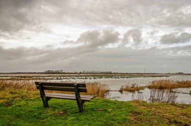 Hollanda 'nın Biesbosch milli parkındaki Noordwaard bölgesindeki su baskınlarının görüldüğü ahşap bank, sel koruma planı kapsamında