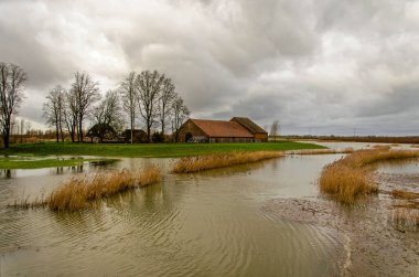Werkendam, Hollanda, 29 Aralık 2024: Biesbosch ulusal parkındaki Noordwaard bölgesinde nehir projesi kapsamında tarihi bir çiftliği koruyan bir hendekle yükselen su 