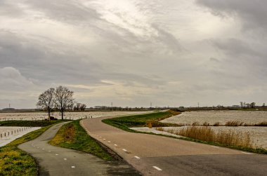 Werkendam, Hollanda, 29 Aralık 2024: Biesbosch milli parkındaki Noordwaard bölgesindeki nehir projesi için su kaynakları arasında yol ayrımı 