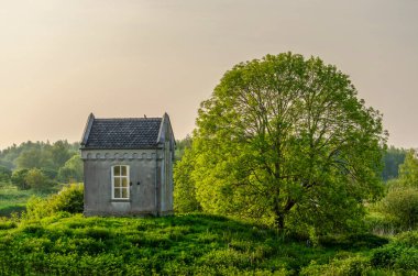 Benedensas, Hollanda, 10 Mayıs 2024 tarihi kontrol merkezi ve altın saat boyunca büyük bir ağaç.